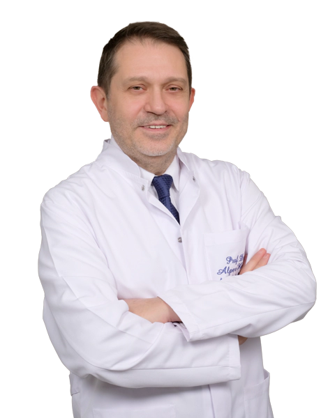 Profesör Doktor ALPER KAYA