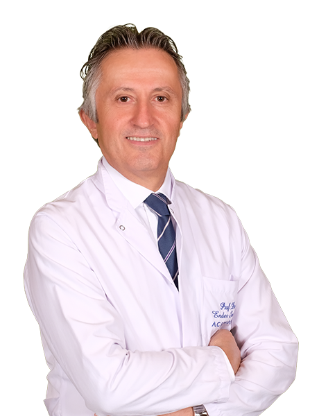 Profesör Doktor ENDER SEMİZ