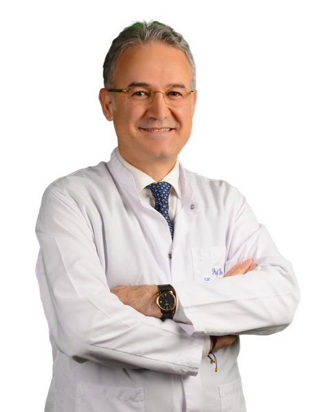 Profesör Doktor ERGÜN SEYFELİ