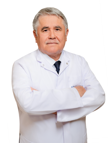 Prof.Dr. İSMET AYDOĞDU