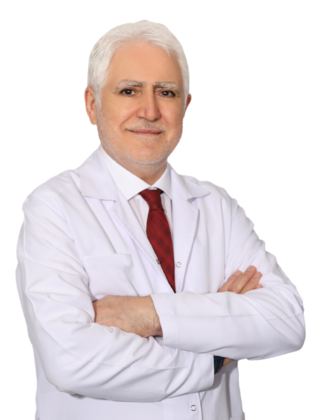 Profesör Doktor MUSTAFA HERDEM