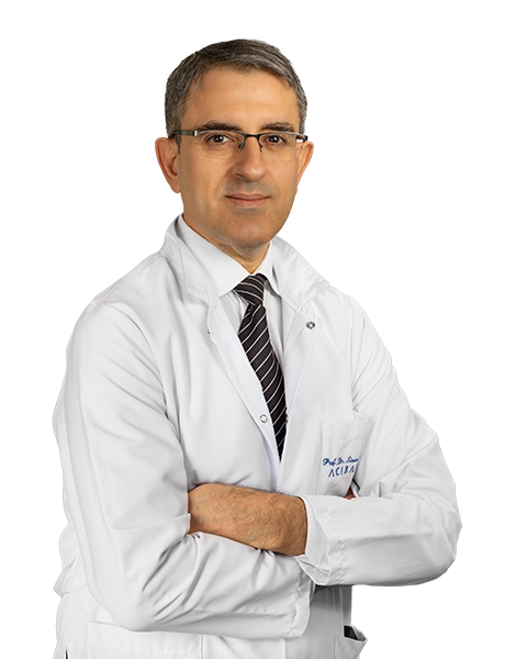 Profesör Doktor SİNAN DAĞDELEN