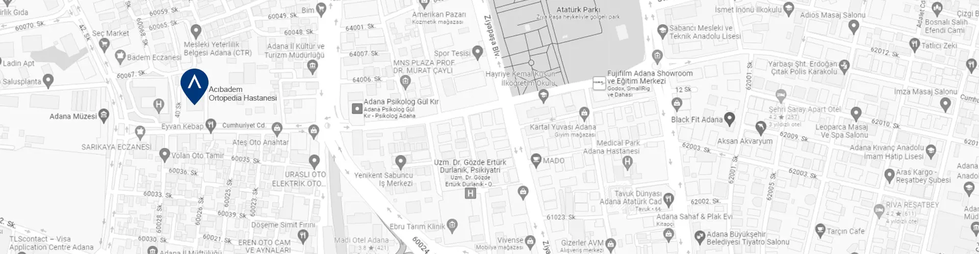 acibadem-adana-ortopedia-hastanesi-google-maps-image.webp