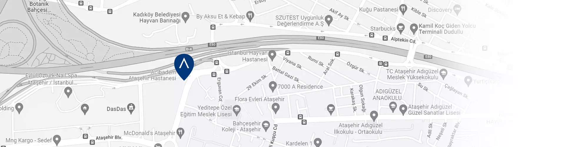 acibadem-atasehir-hastanesi-google-maps-image.webp