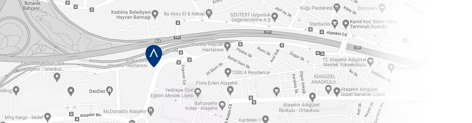 acibadem-atasehir-hospital-google-maps-image.webp