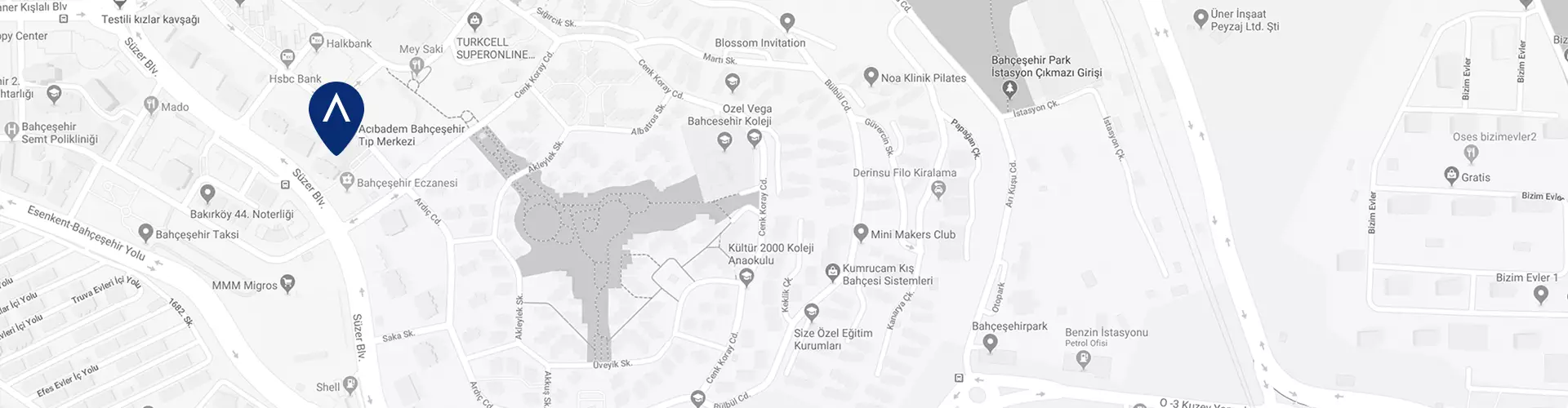acibadem-bahcesehir-tip-merkezi-google-maps-image.webp