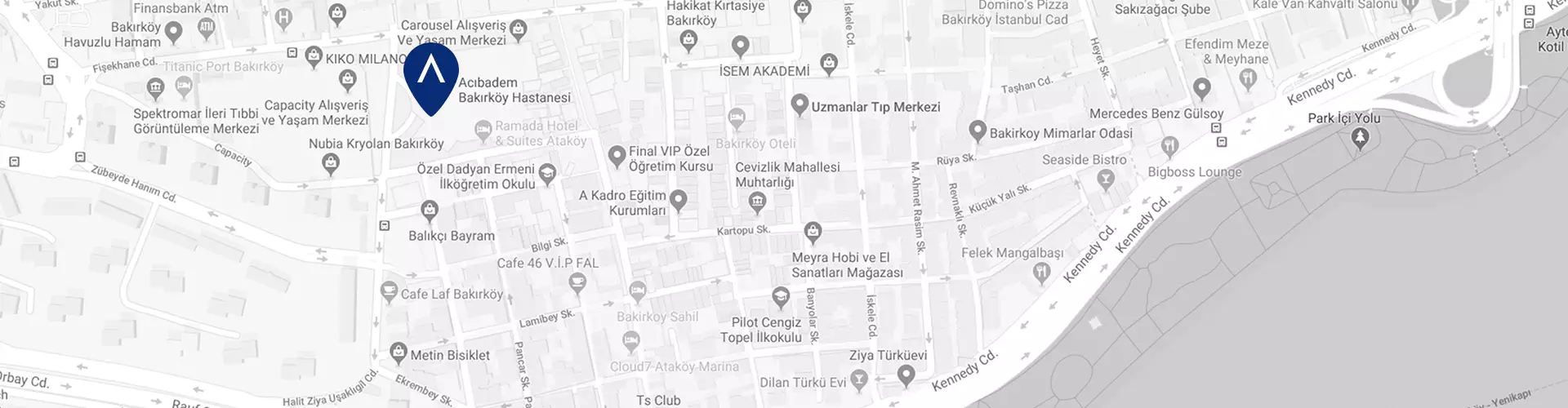acibadem-bakirkoy-hastanesi-google-maps-image.webp
