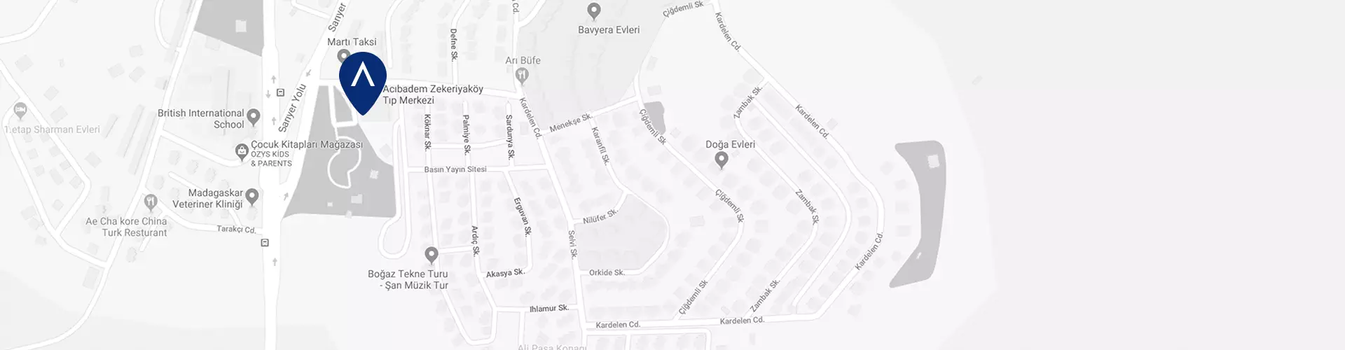 acibadem-zekeriyakoy-tip-merkezi-google-maps-image.webp