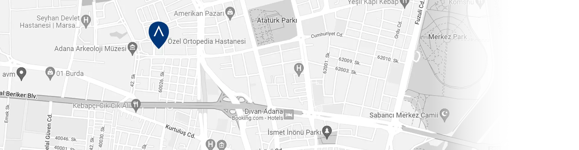 adana-ortopedia-hospital-google-maps-image.webp
