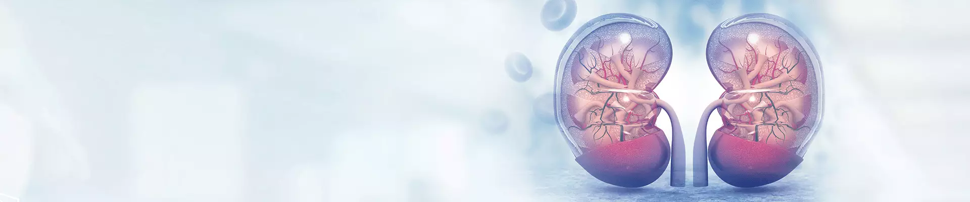 Böbrek Nakli Merkezi