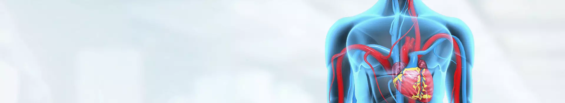 Vascular Surgery