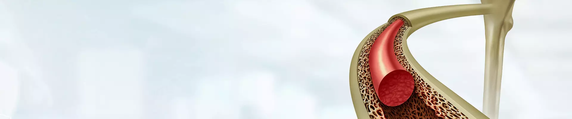 Fibroblast Nedir? Fibroblast Ne İşe Yarar, Tedavisi Nasıl Yapılır?