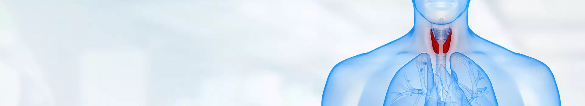 Haşimato Nedir? Haşimato Hastalığı Belirtileri ve Haşimato Tedavisi