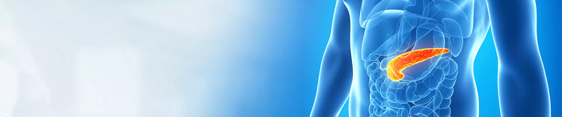 Pankreas Kanseri Nedir? Pankreas Kanseri Belirtileri ve Tedavisi