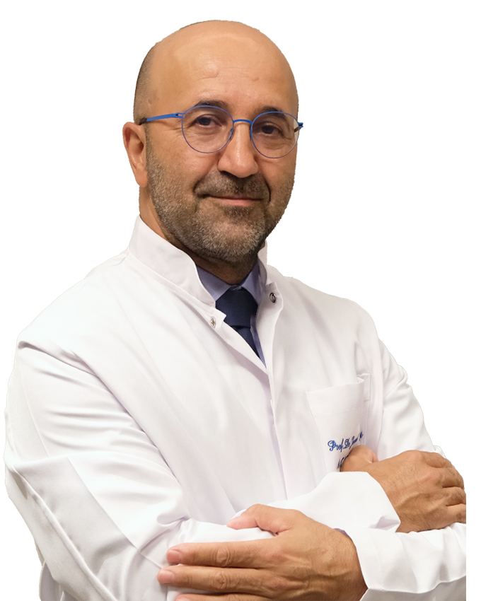 Prof. Dr. Javad Parvizi