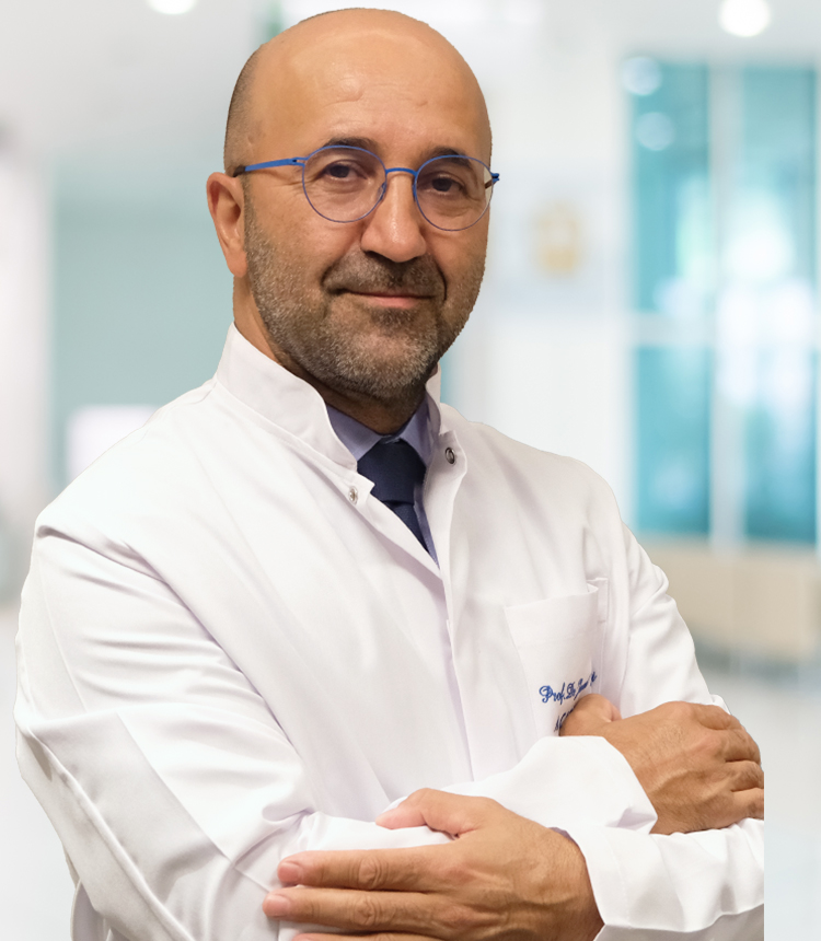 Prof. Dr. Javad Parvizi